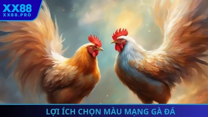 Hiểu rõ màu mạng gà đá là chìa khóa áp đảo đối thủ.